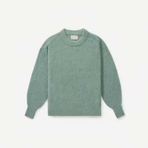 Everlane The Oversized Alpaca Sweater